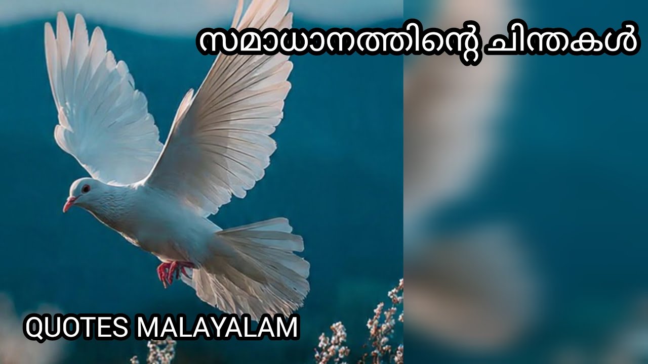 സമാധാനത്തിന്റെ ചിന്തകൾ |Quotes |മലയാളം 