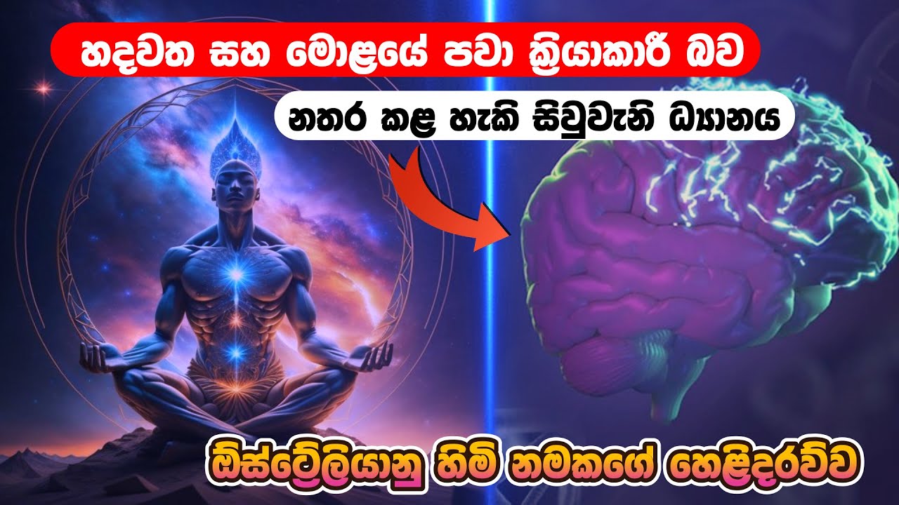 හදවතේ සහ මොළයේ ක්‍රියාකාරී බව නතර කළ හැකි සිව්වෙනි ධ්‍යානයේ බලය