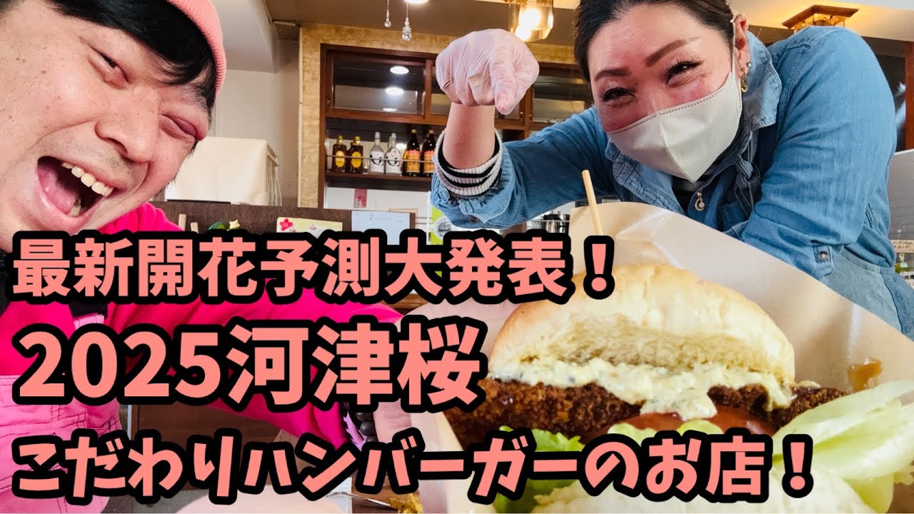 【2025河津桜】 2.7最新開花予測！こだわりハンバーガー　キャッスルクブルス　河津桜まつり　お得情報