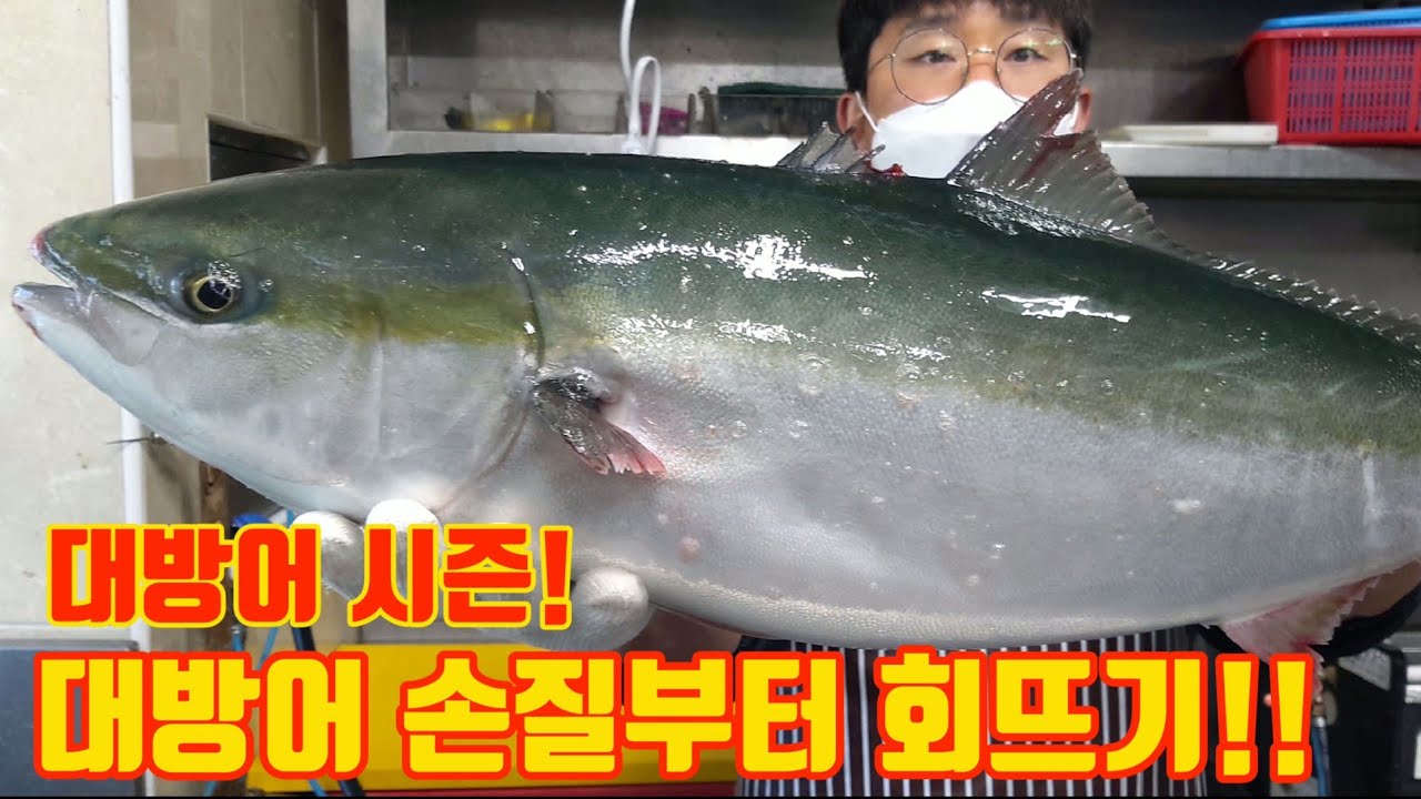 대방어 회뜨기!