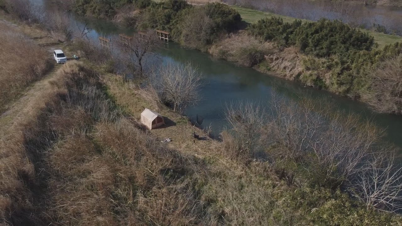 春よ来い、春よ鯉、水門川の再会