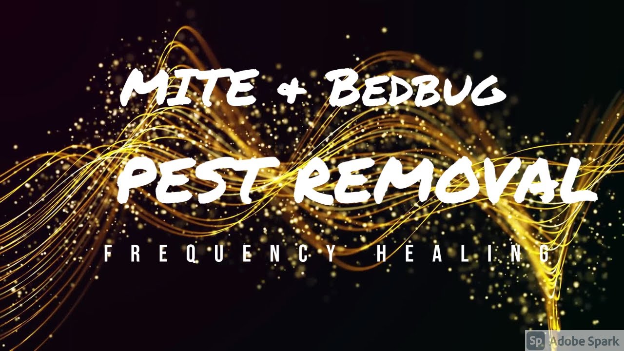 Mite and Bedbug Removal- Really Works- 