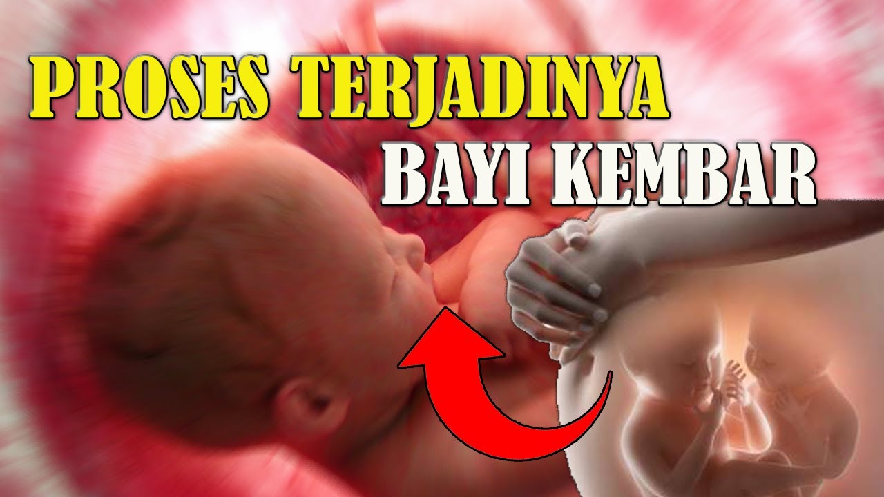 Melihat Proses Terjadinya Bayi Kembar