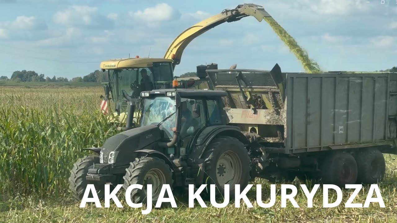 AKCJA KUKURYDZA 2025! Fendt 926 na silosie - jest moc. 6 zestawów na odwozie