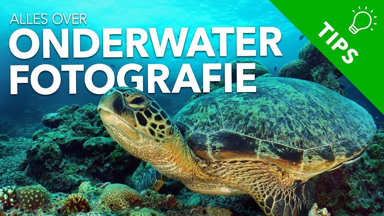 Alles over onderwaterfotografie - Sealife Micro 2.0 win actie - Kamera Express