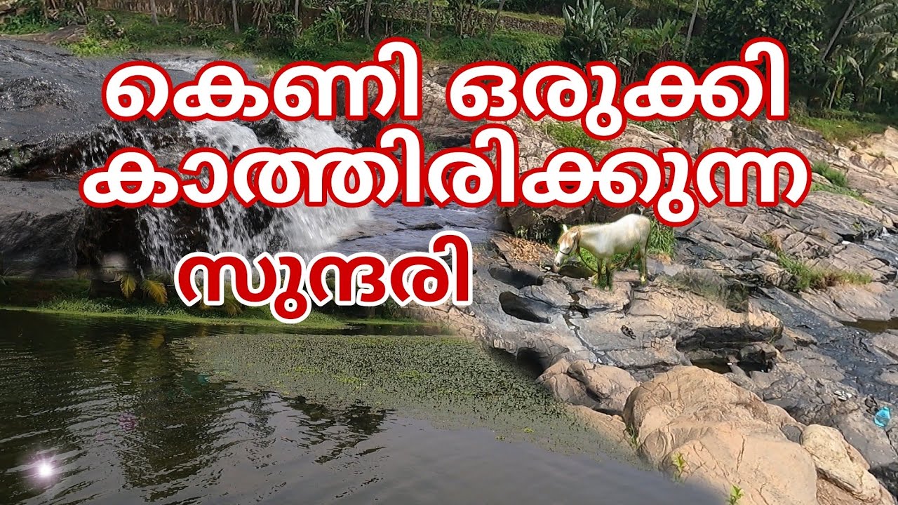 A beautiful waterfall on the Kanyakumari route I Aruvikkarai water falls #aruvikkarai water falls