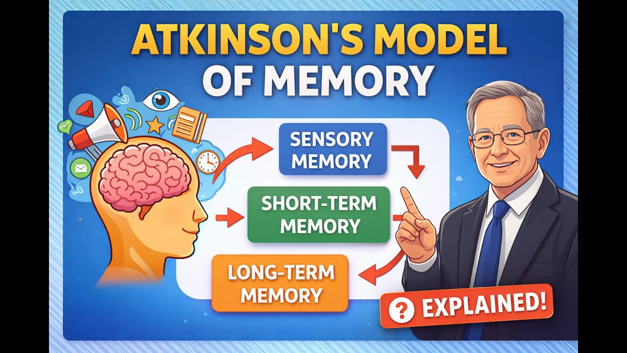 How Your Memory Really Works