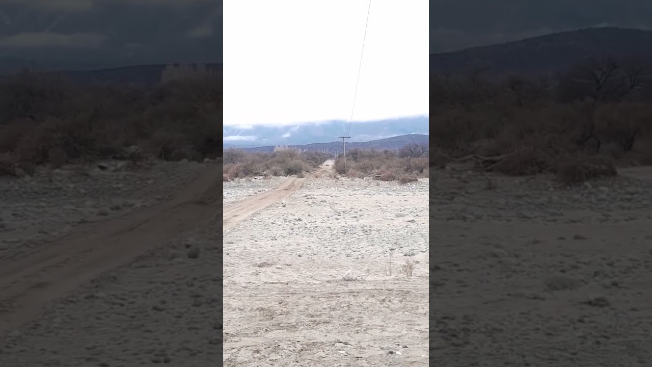 rally puntano 2025