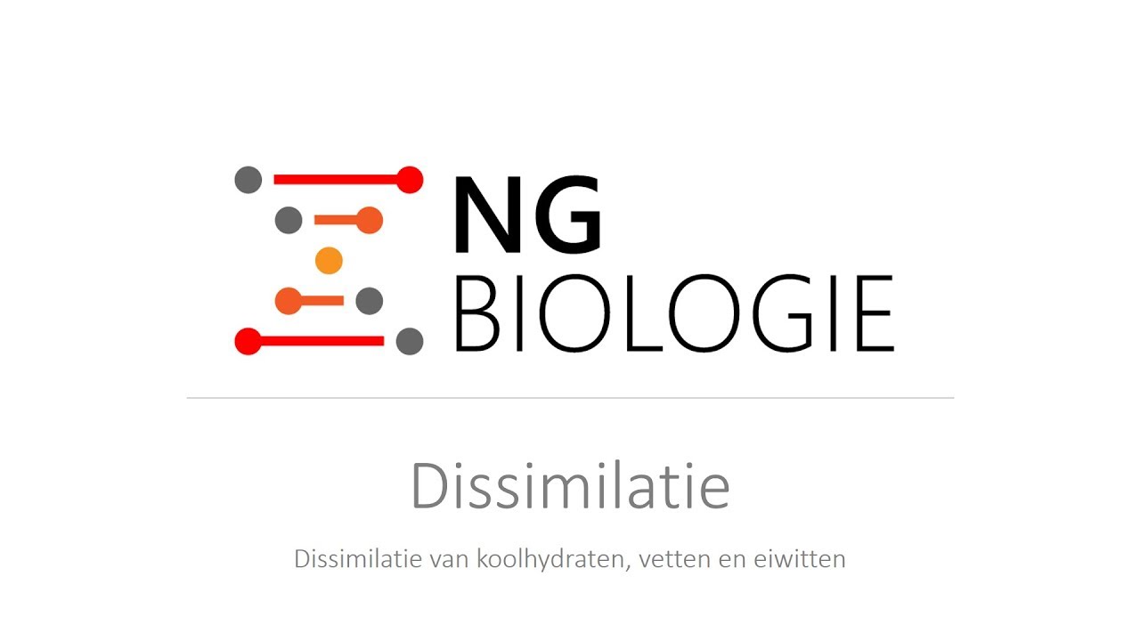 Dissimilatie - de dissimilatie van koolhydraten, vetten en eiwitten - VWO