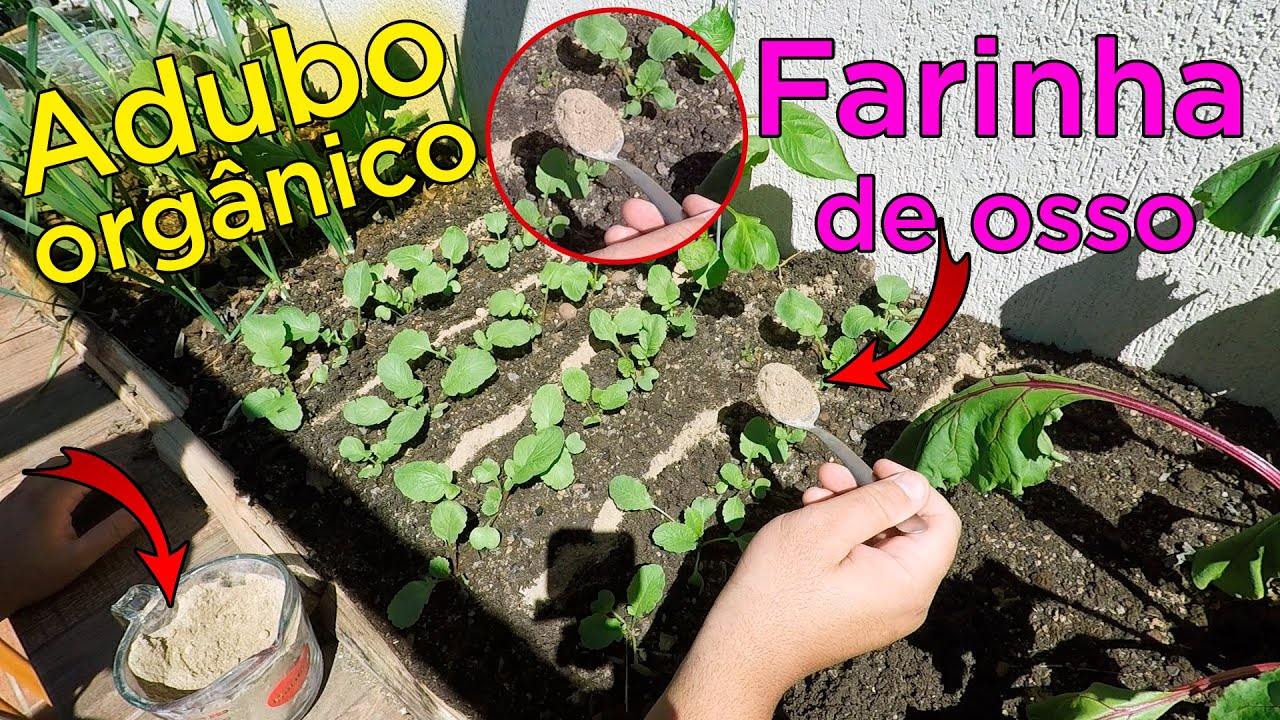 Farinha de Osso o Que é e Como Usar na Horta e Plantas