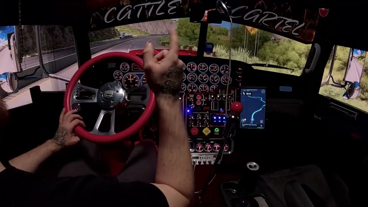 owner operator realistic profile day 209 pete 389