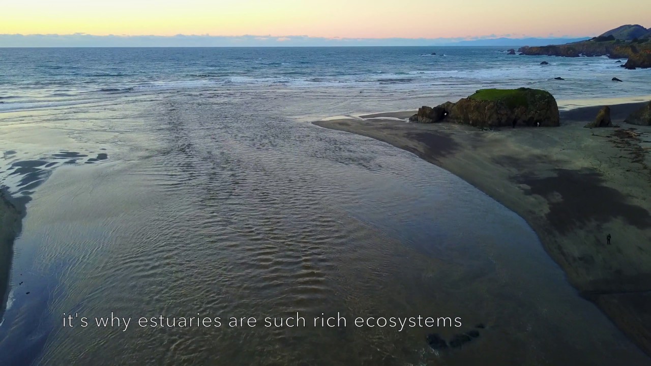 where rivers meet the sea