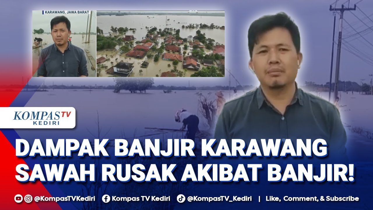 Ribuan Hektare Sawah di Karawang Terendam Banjir, Petani Alami Gagal Panen