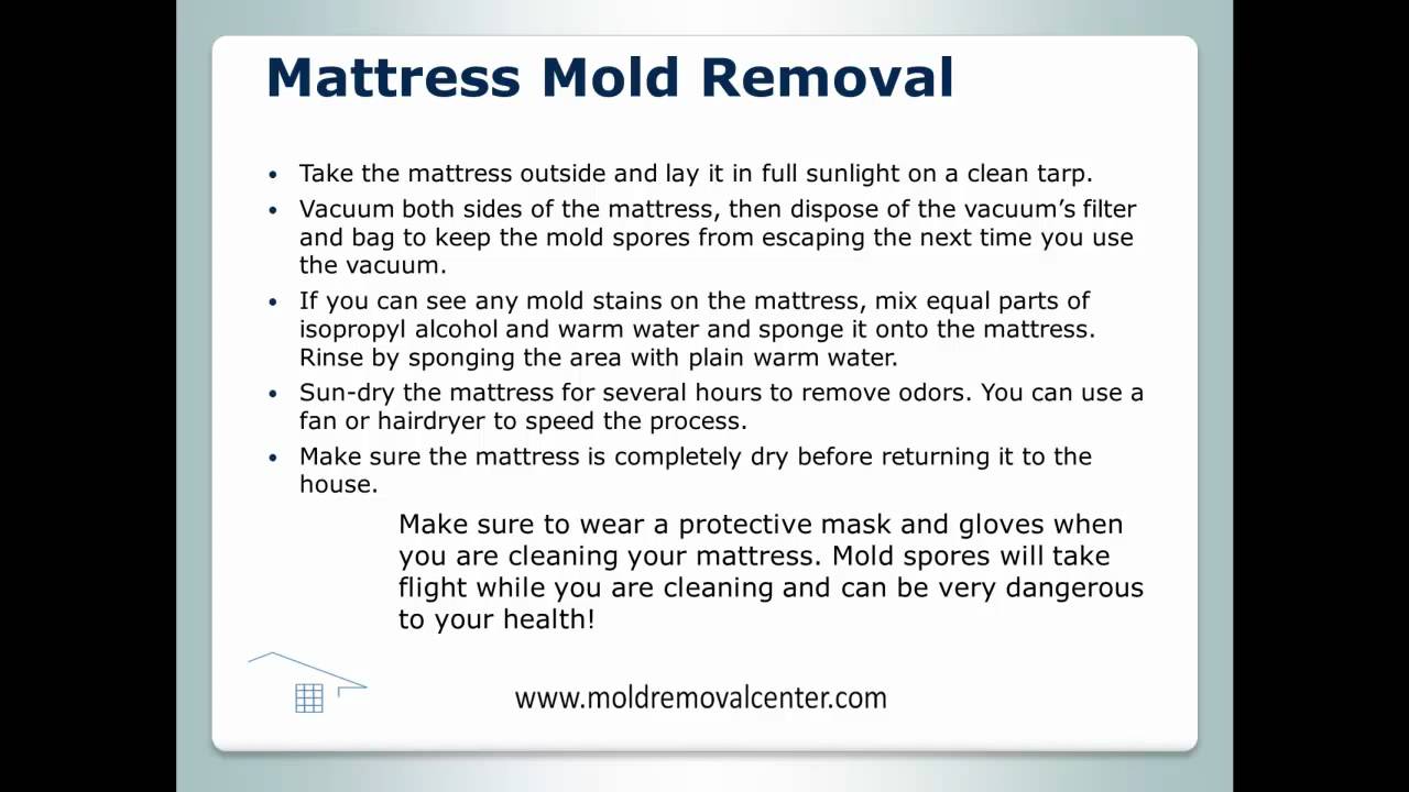Mattress Mold Removal