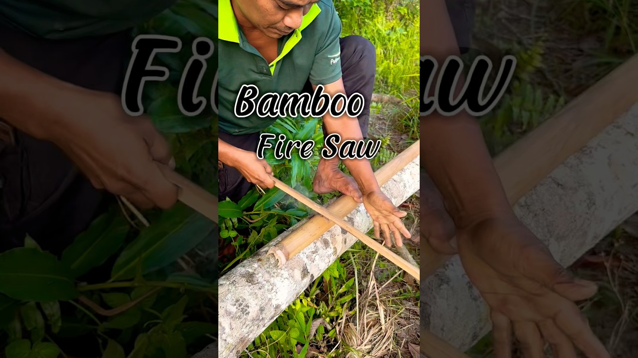 Friction fire, Bamboo Fire saw #firemaking