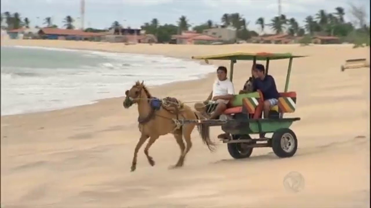 Achamos no Brasil - Jegue Táxi