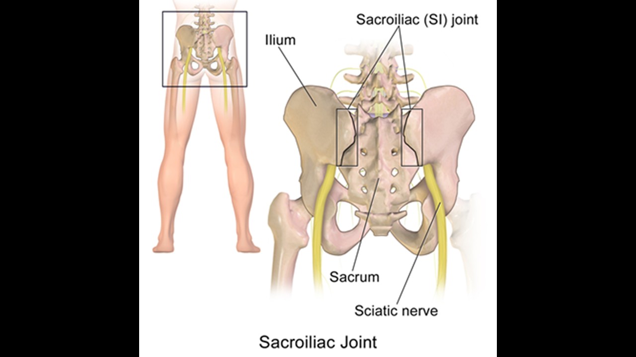 Exercises for SI joint pathology