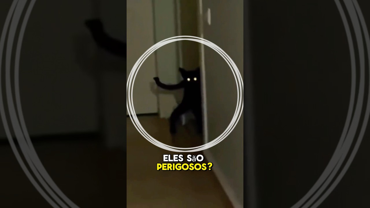 O MOTIVO das pessoas TEREM MEDO de Gatos Pretos 😱 #shorts