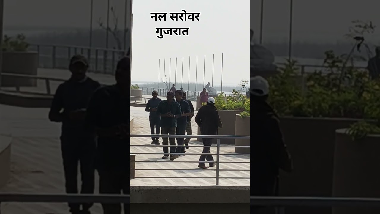 🐤નળ સરોવર પક્ષી અભ્યારણ ગુજરાત 🦆🪿🦢🦩🦚🦤🦜#minivlog #viralvideo #vlog #travel #public