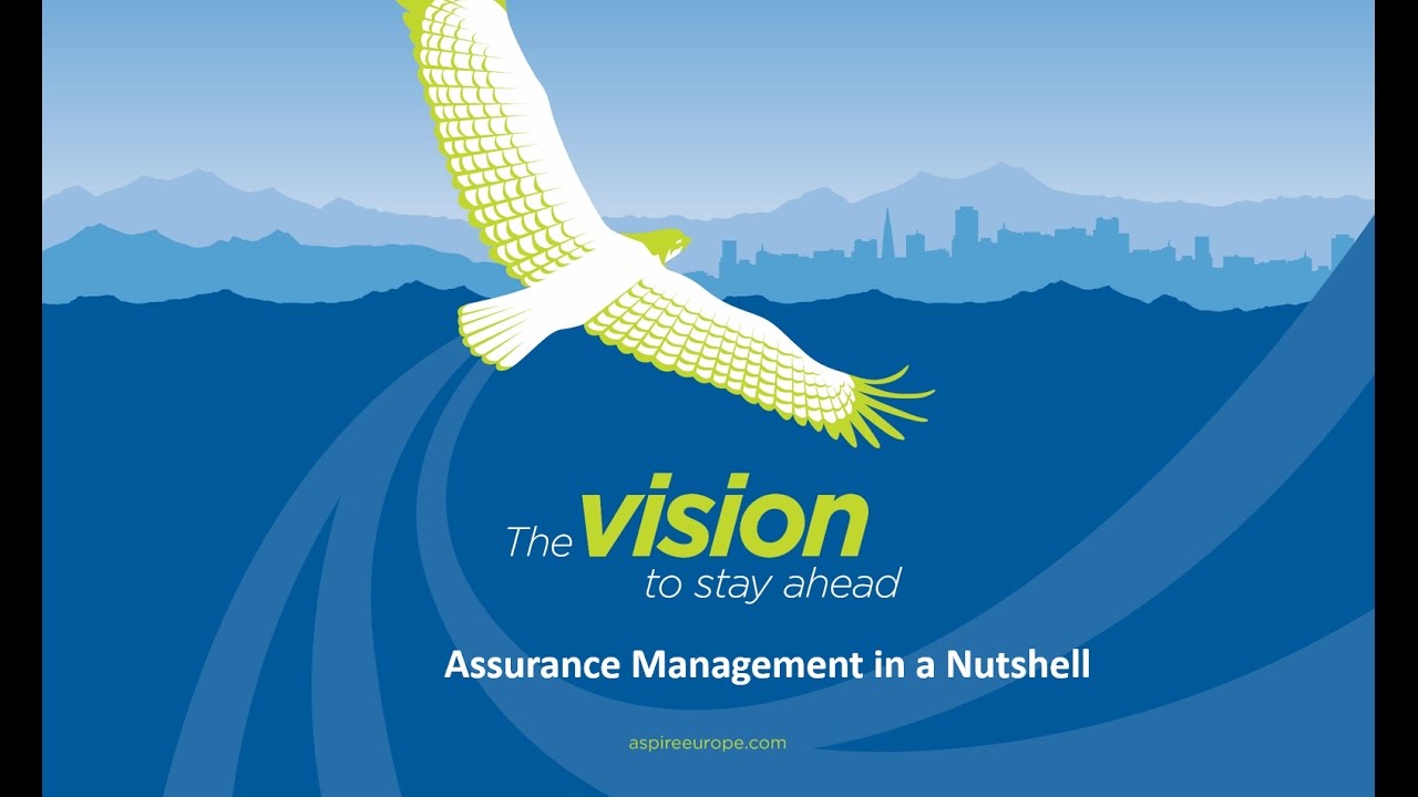 What is MSP Programme Assurance?