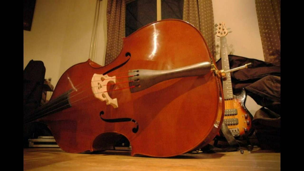 Taxidermist - A Different Song live @ Radio Nijmegen1  2011