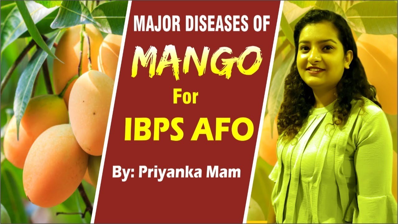 Major Diseases of Mango (IBPS AFO)