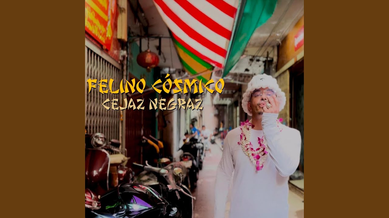 Felino Cosmico