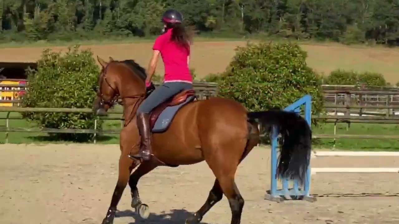 Tuesday Exercise - Great exercise for refining your rhythm