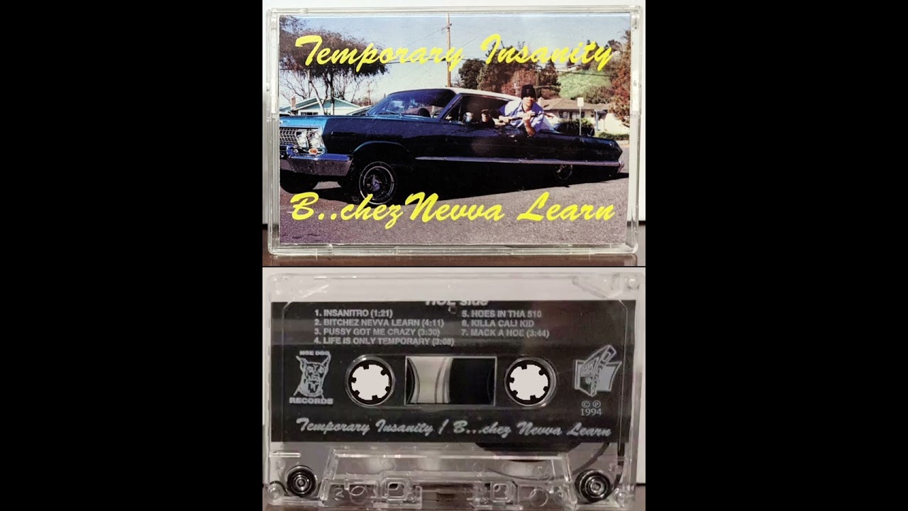 Temporary Insanity (Darkroom Familia) Life Is Only Temporary 1994 #short #shorts #HomeboyRap
