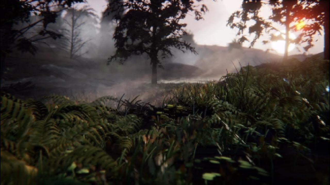 Dreams realism, PS5