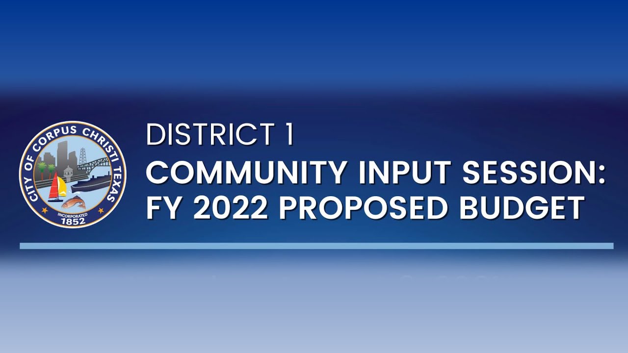 2021 District 1 Proposed Budget Community Input Session