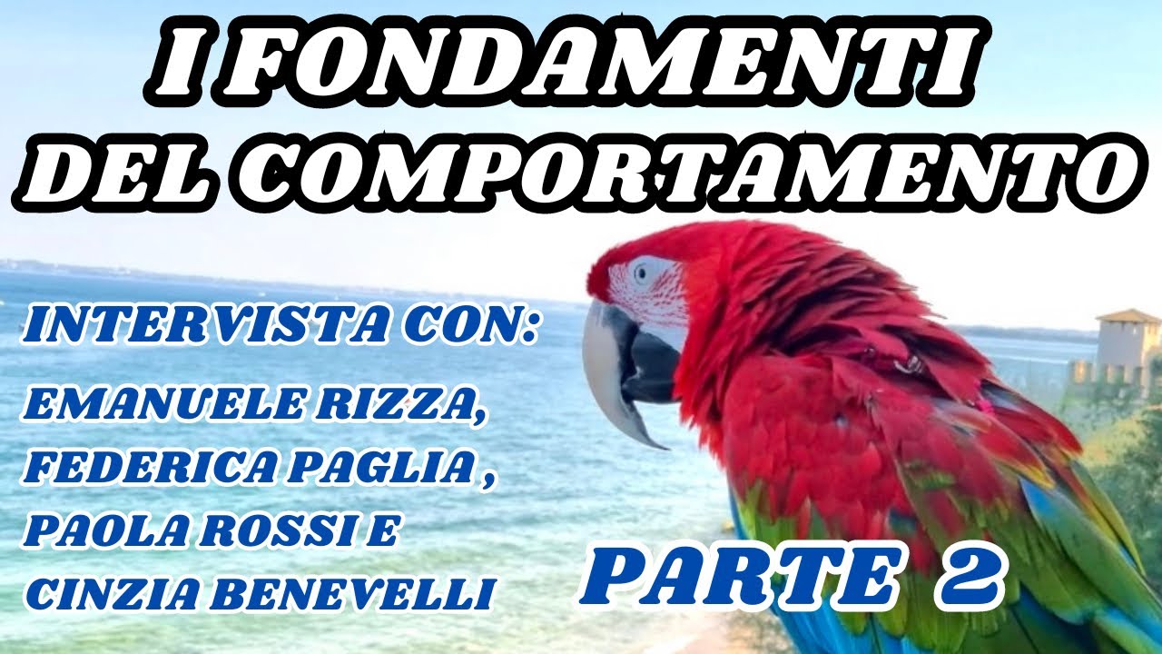 Pappagalli: comportamento, educazione, addestramento, training, rinforzo, volo libero, beccate.