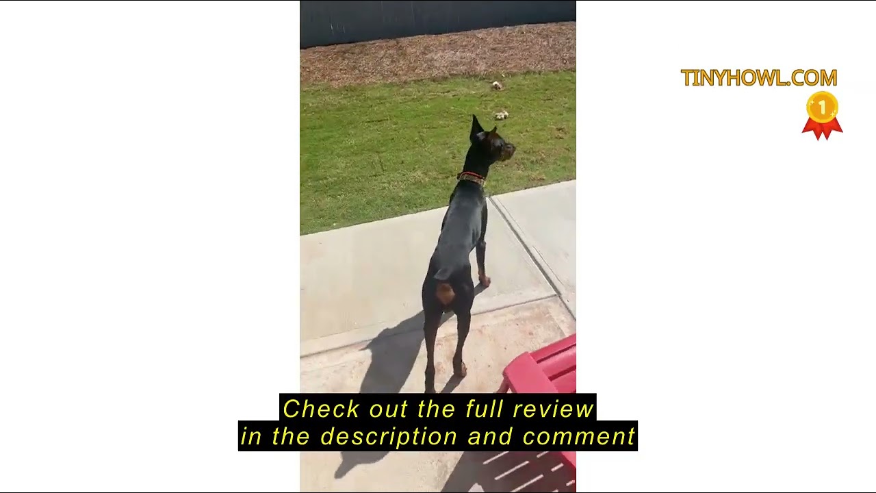Review Piouns Shock Collar for Dogs, IP67 Waterproof Dog Training Collar with Remote, 3 Training Mod