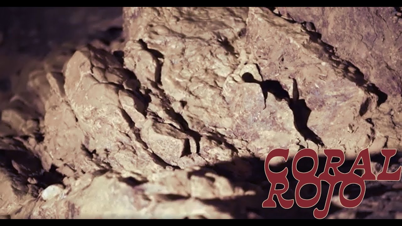 Coral Rojo – Trilogía | Aukán – Naya – Shingaró