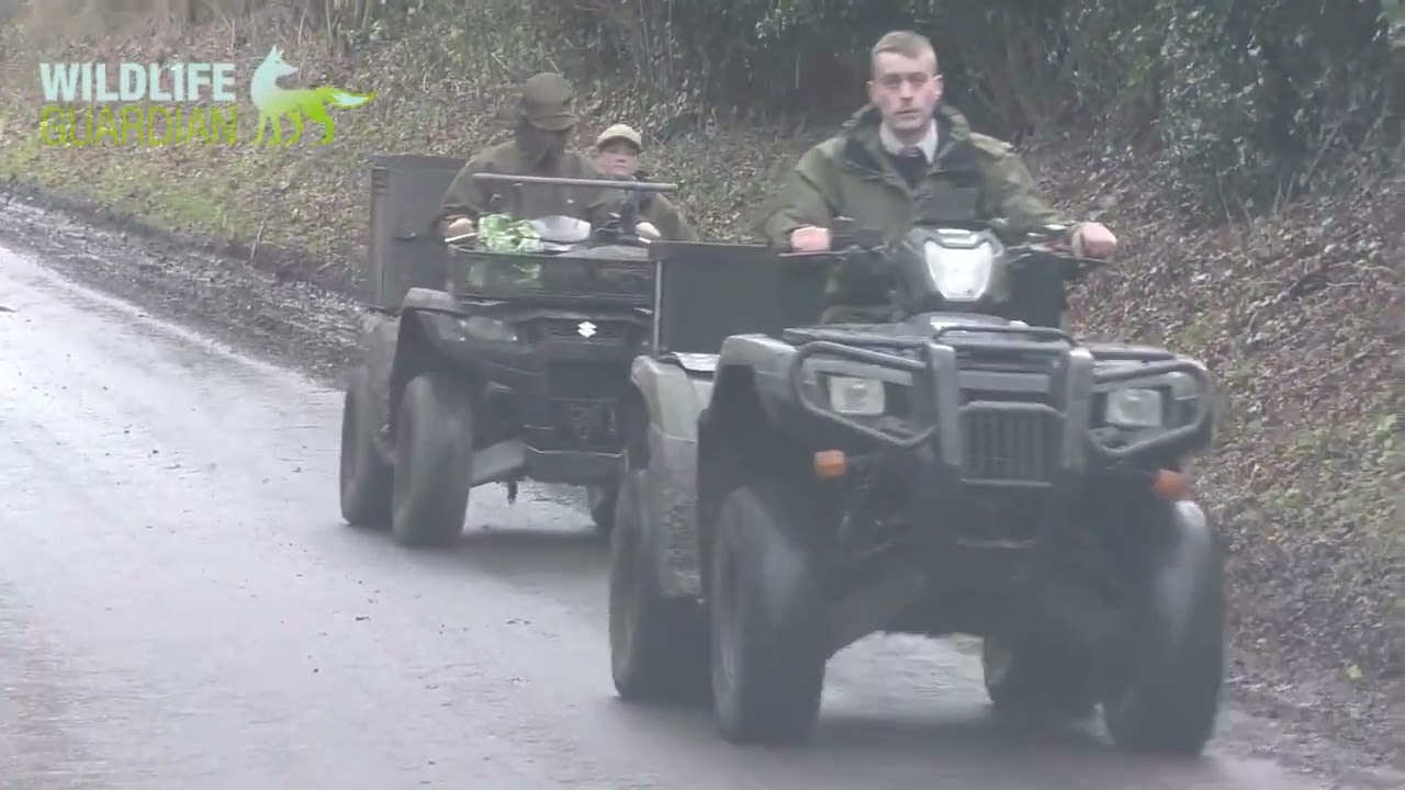 Hampshire Hunt - Illegally Ridden Quad Bikes, Blocked Roads, Grumpy Gamekeepers and Foxes Galore