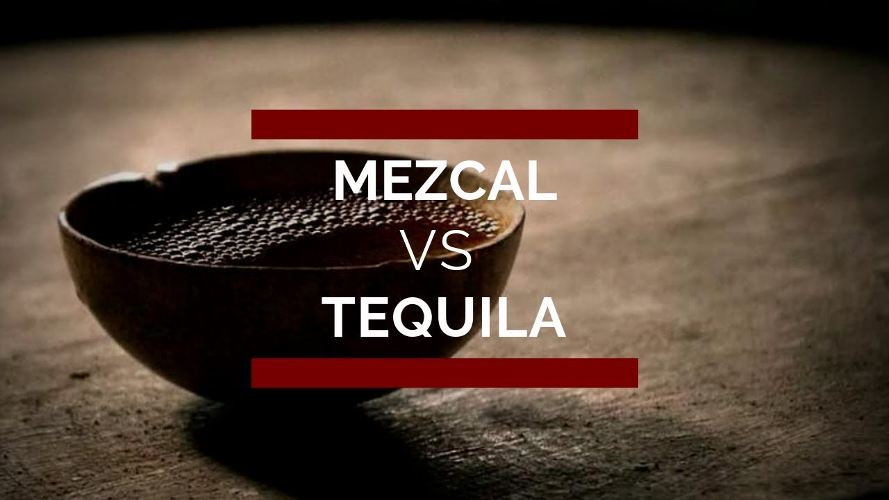 Mezcal vs Tequila, Principales Diferencias. ¡ Conócelas !