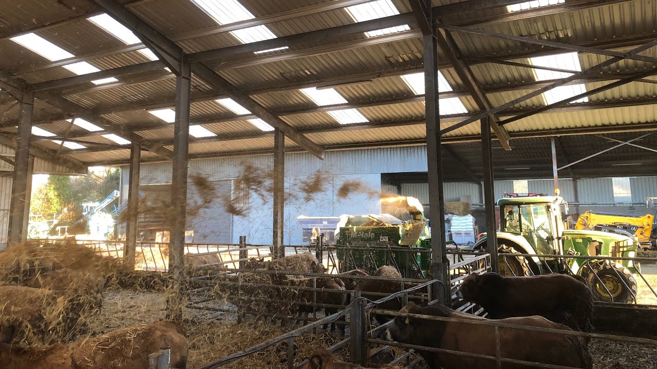 SHOULD WE BUY A STRAW BLOWER??  McHale Trailed C460 Straw Blower, How well does it work for us? 🇮🇪