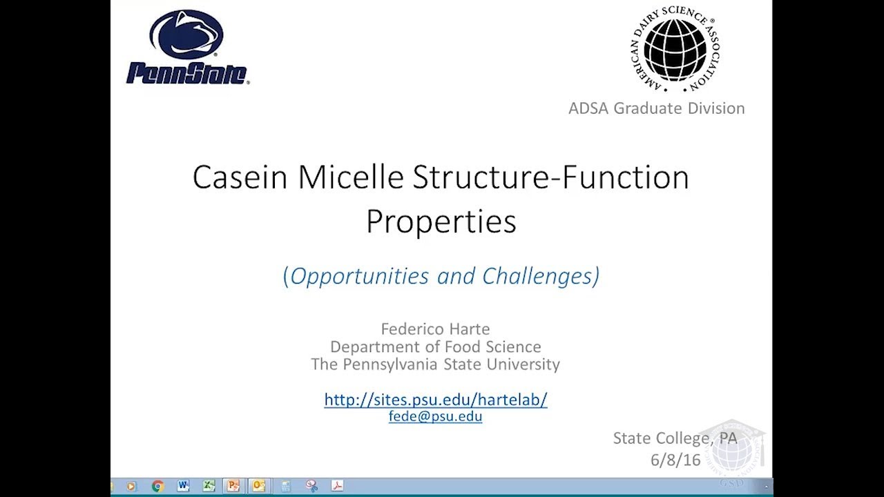 Casein Micelles Structure-Function Properties (Opportunities and Challenges)