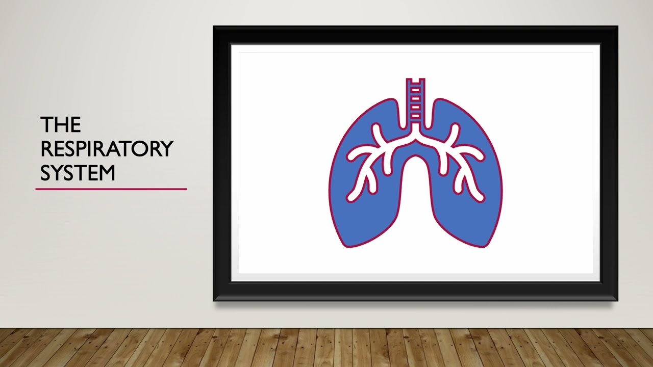 Respiratory Considerations of FSHD with Dan Wilson