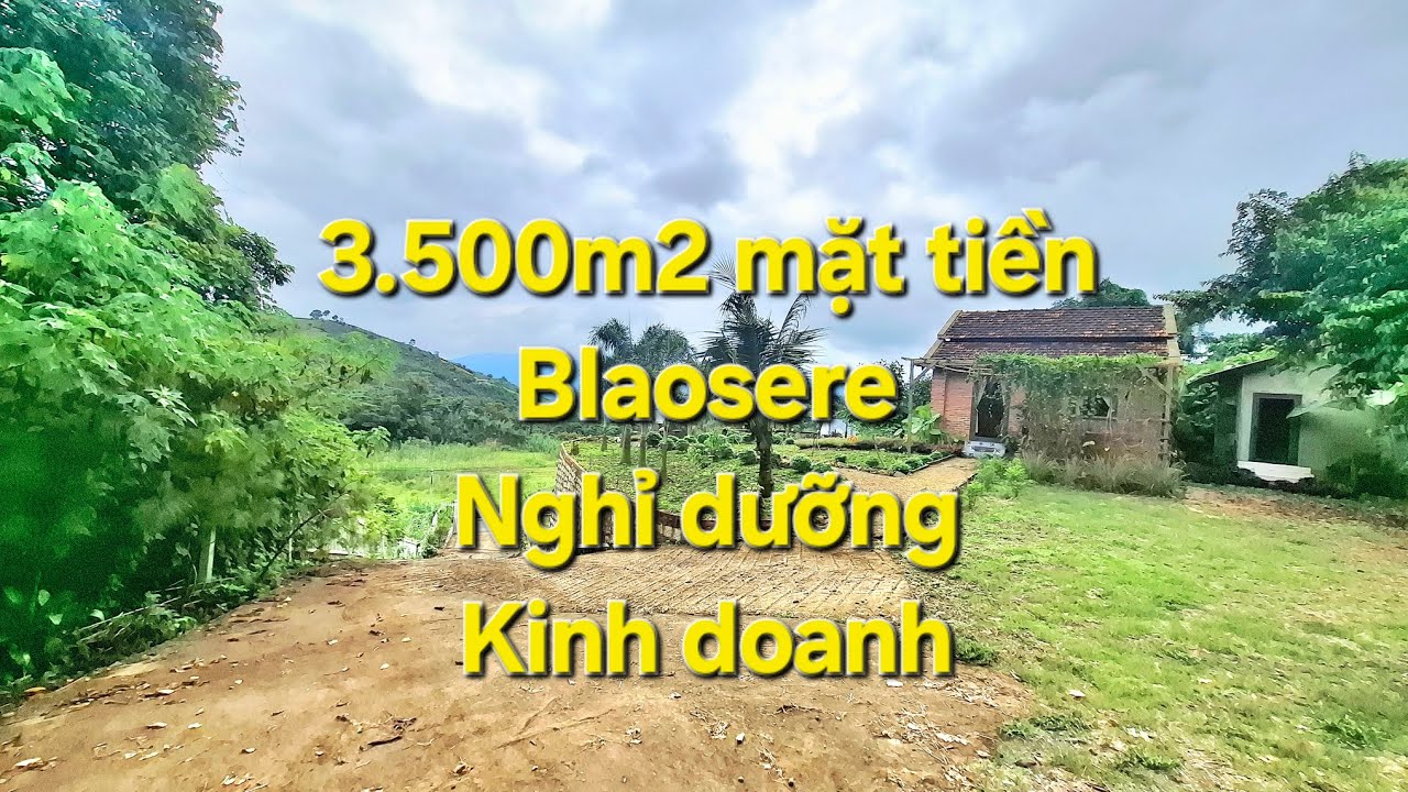 3.500m2 mặt tiền Blao Sere - P3 Bảo Lộc| Nghỉ dưỡng hoặc kinh doanh homestay| Giá hợp lý