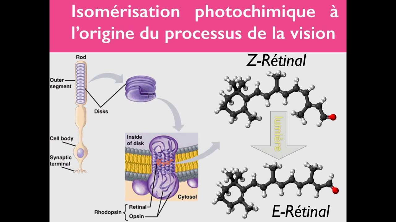 Géométrie des molécules - 3/3