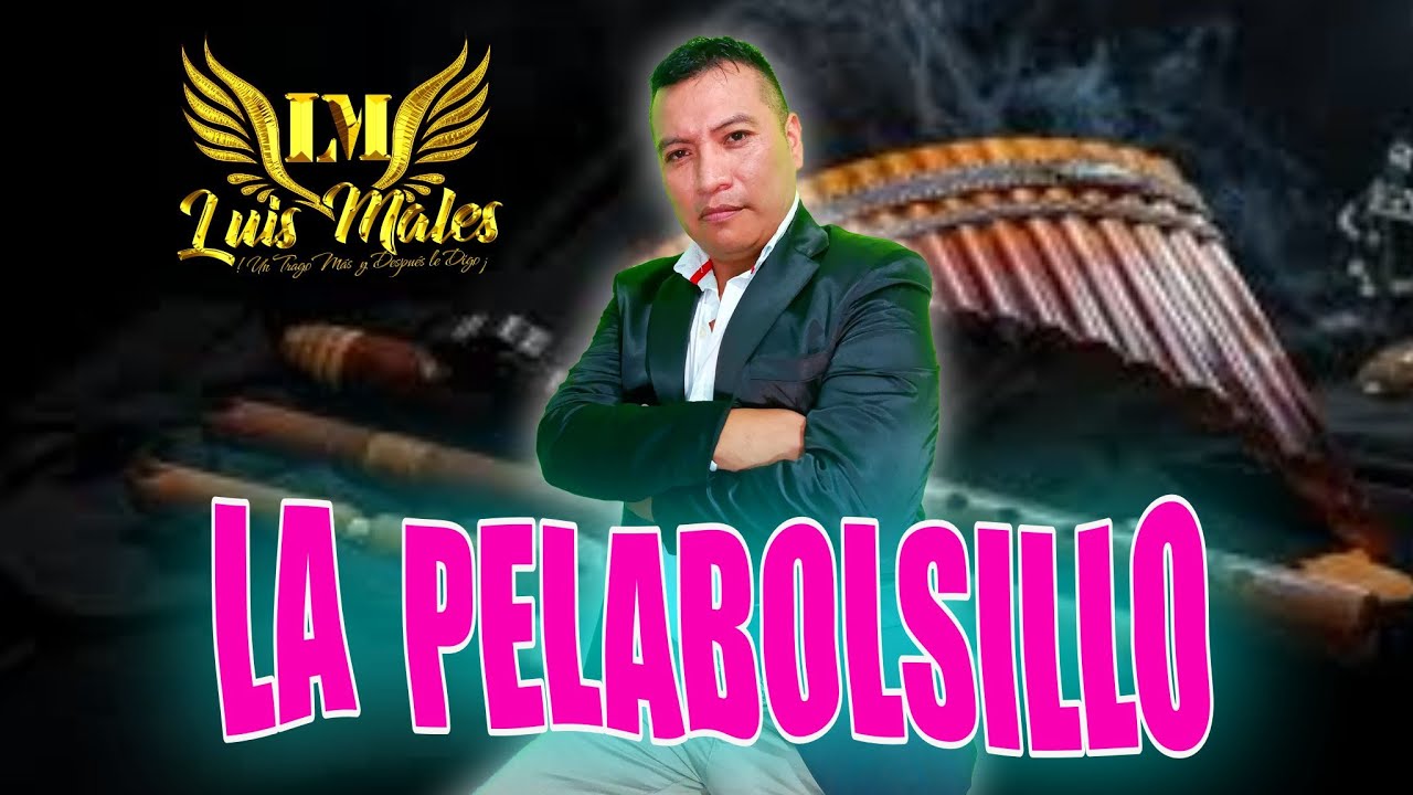 LA PELABOLSILLO .. Luis Males (video liryc)