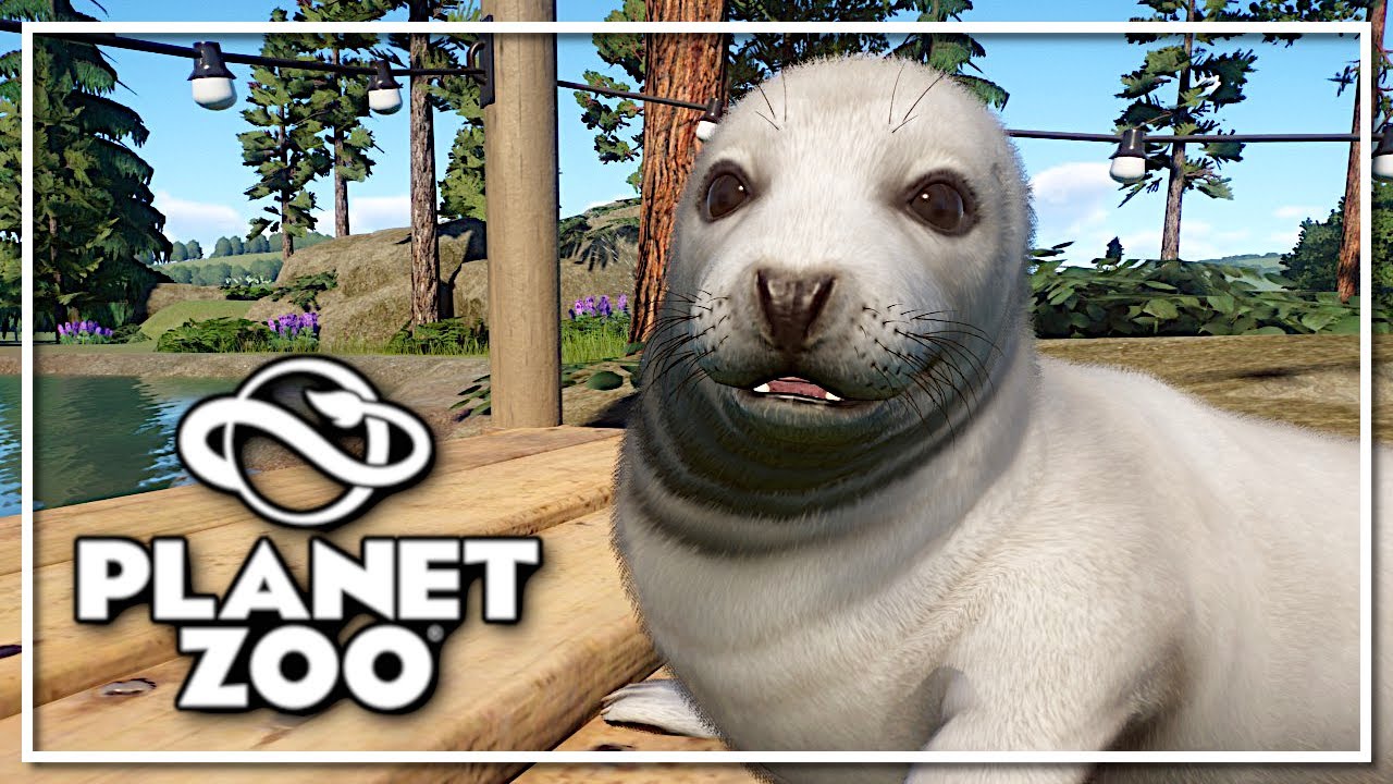 Planet ZOO - #30 FOKARIUM gotowe!
