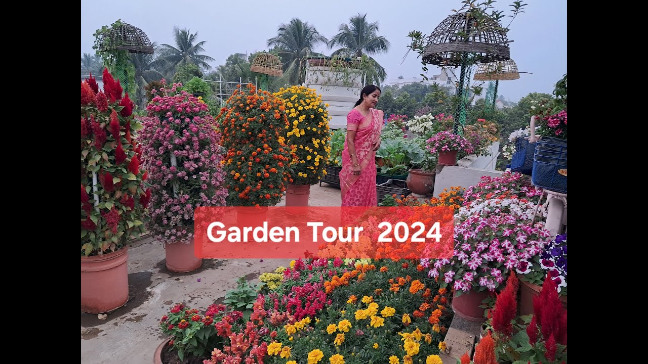 Winter Garden Tour 🏵🌸🌼🍃🍂🍁 | Flowers towers | Colourful Winter Flowers | #viral #trending #garden #yt