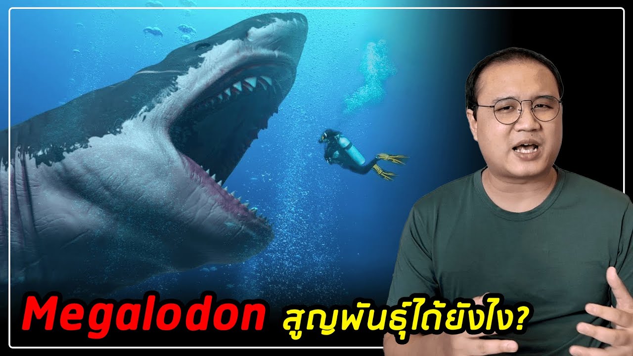 เมกาโลดอน สูญพันธุ์ได้อย่างไร?