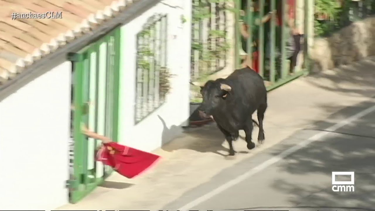 Ayna celebra su primer encierro con gran ambiente festivo | Ancha es Castilla-La Mancha