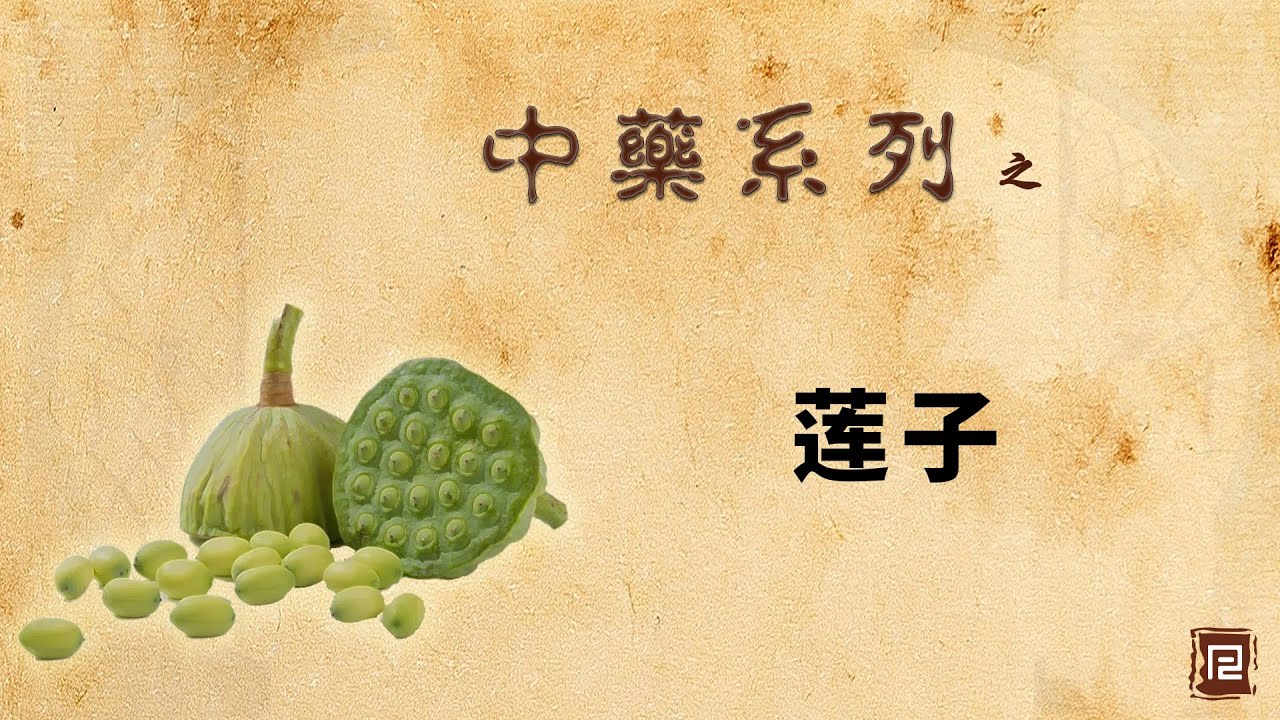 莲子 - 收涩药