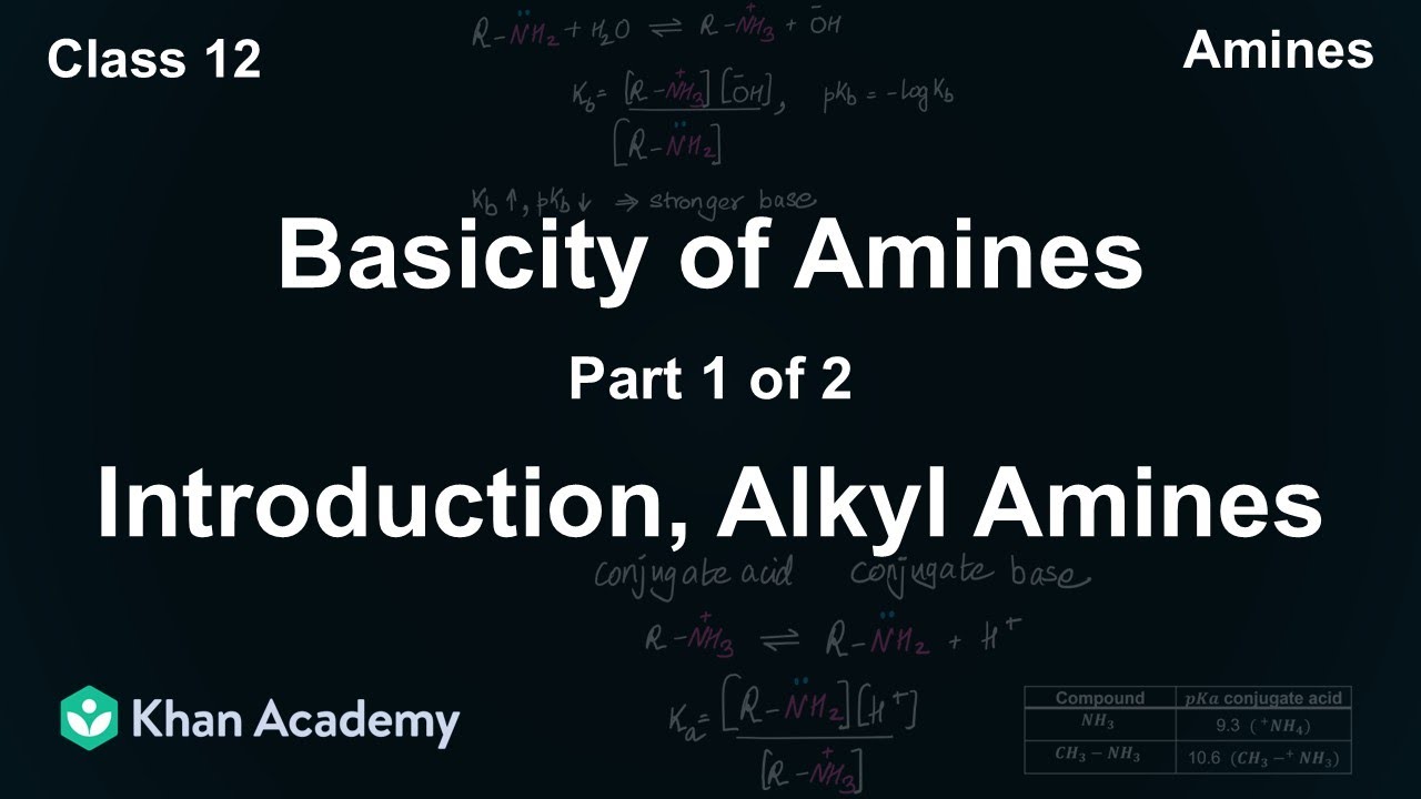 Basicity of Alkyl amines | Amines | Class 12 | Chemistry | NCERT | Khan Academy