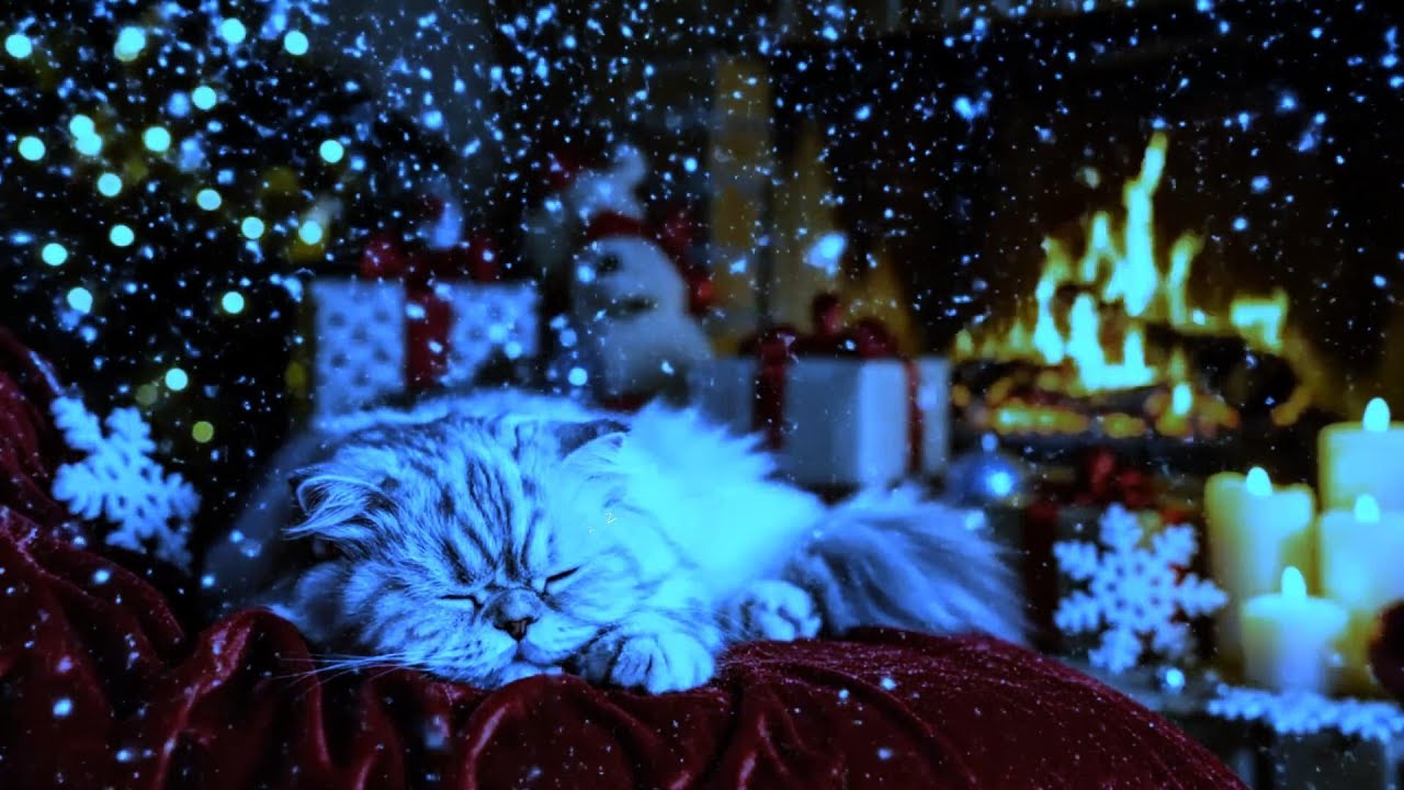 12-Hour Anti-Anxiety Cold Winter ASMR for Cats 😽❄️ Cozy Fireplace & Gentle Purring for Deep Relax