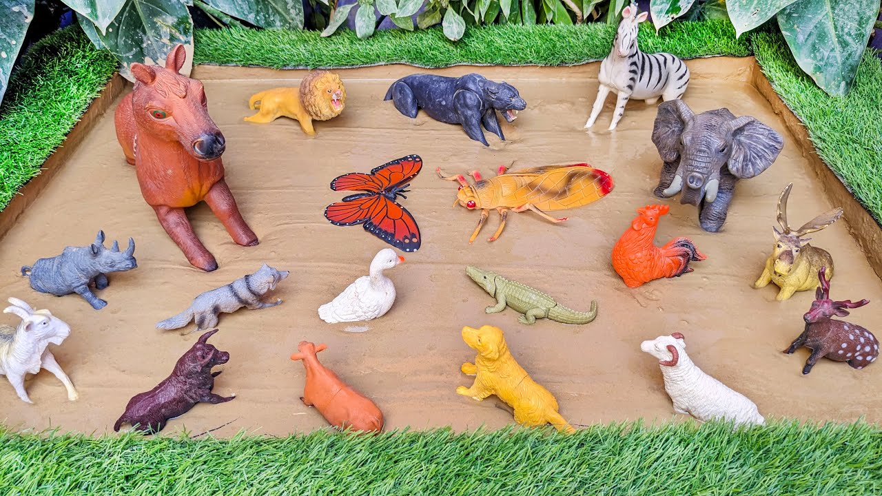 Wild Rescue Expedition: Zoo vs. Jungle Animals in Mud Madness Adventure for Kids!